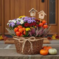 Artikel Deko-Vogelhaus Birke 5cm Blumenstecker 4er-Set