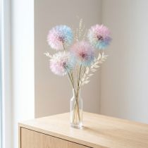 Artikel Pusteblume Trockenblume stabilisiert, 12 cm, sanft gefärbt, Set 4 Stück, für Dekoration