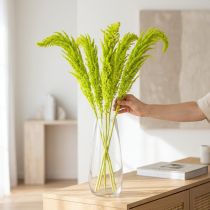 Artikel Fuchsschwanz Trockenblumen 100cm, gefärbt, Hellgrün, 5 Stiele für Wohnraumdekoration