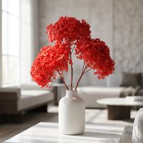Artikel Konservierte Hortensie Rot 20 cm – Getrocknete Blume für Wohn- und Tischdekoration