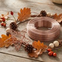 Artikel Aluminiumdraht Ø2 mm Hellbraun 500 g 60 m – Basteldraht für Floristik und DIY