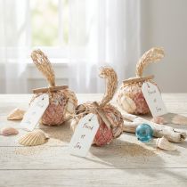 Artikel Muschel-Mix Deko im Netz, Bunt, 3,5–6 cm, 300 g