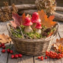 Artikel Fliegenpilz Deko Figuren aus Holz, 3 Grössen (6/8/10 cm), Rot-Weiss, Herbstdeko-Set