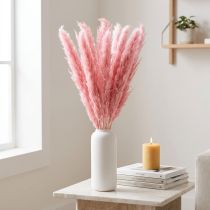 Artikel Trockengras Rosa Riedgras gebleicht 70–75 cm 10 Stk für Trockenblumen-Dekoration