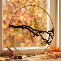 Artikel Fensterdeko Metallring mit Eule auf Ast, Ø 22 cm, Schwarz/Gold, Herbstdeko