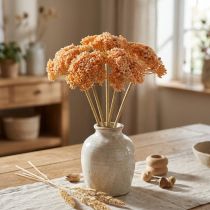 Artikel Schafgarbe künstlich 50 cm Orange 5er Bund
