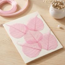 Artikel Skelettierte Weidenblätter Rosa 5–9 cm – 200 Stück für Dekoration und Bastelarbeiten