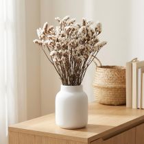 Artikel Trockenblumen Limonium Strandflieder Weiss 60–65cm 35g