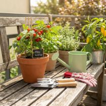 Artikel Gartenwerkzeug-Set aus Edelstahl mit Holzgriffen: Handharke, Handschaufel und Beetstecker, ca. 25-28 cm