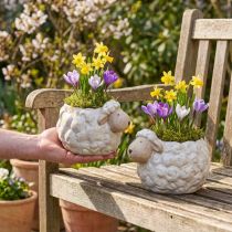 Artikel Keramik Pflanzgefäss Schaf-Design Weiss 17 cm, Set 2 Stk, für Garten & Wohnung