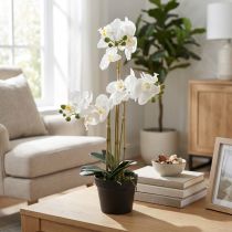 Artikel Künstliche Orchidee im schwarzen Topf 60 cm weiss