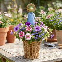 Artikel Frosch Übertopf aus Polyresin in Blau-Grün, Höhe 31,5 cm