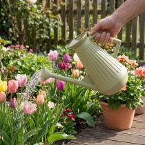 Artikel Gieskanne 9L Kunststoff Olivgrün mit Abnehmbarer Brause für Garten und Blumenpflege, 42cm
