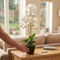 Artikel Künstliche Orchideen Weiss im Topf 80cm