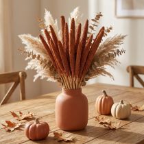 Artikel Trockenblumen Kolbenhirse Babala Orange, 68–74 cm, Natur, 10 Stiele, für Vase und Gestecke