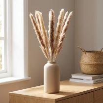 Artikel Pampasgras getrocknet naturfarben 70cm 6 Stück für Innenbereich