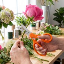 Artikel Blumenschere aus Edelstahl mit gezahnter Klinge, Orange, 20 cm – Floristikwerkzeug