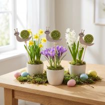 Artikel Blumenstecker Schnecke Holz Filz Grün 6,5 cm 12 Stück