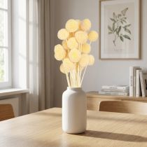 Artikel Craspedia Trockenblumen Creme 50-55 cm 20 Stk für Dekoration