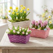 Artikel Eckige Pflanzkörbe aus Holzspan 20x11x8 cm Lila/Weiss/Rosa – Set mit 8 Stück