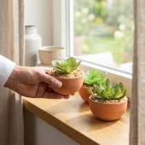 Artikel Künstliche Sukkulenten im Terrakotta-Topf H9cm 3er-Set
