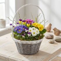 Artikel Henkelkorb aus Weide mit Polyrattanrand Grau-Weiss Ø29cm für Blumendekoration