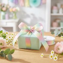 Artikel Taftband Regenbogen Pastell 15 mm x 18 m Polyester Dekoband für Geschenkverpackung und Floristik