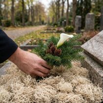Artikel Deko-Moos getrocknet Waldmoos gebleicht 300g Naturdeko
