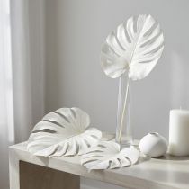 Artikel Gebleichte Monstera-Blätter Naturdeko Fensterblatt 40cm cremeweiss 5 Stück