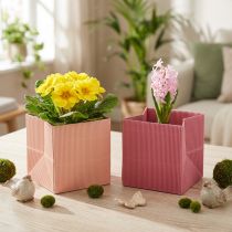 Artikel Blumenübertopf aus geripptem Papier 12x12cm in Pink und Lachs, 6 Stück