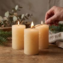 Artikel Durchgefärbte Stumpenkerzen aus Wachs 60x100mm Apricot 4 Stück