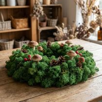 Artikel Deko-Moos Grün konserviertes Islandmoos 400g
