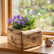 Artikel Pflanzkasten Holz quadratisch 12×12×8,5cm naturfarben innen mit Folie