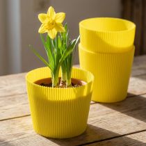 Artikel Plissierte Kunststoffmanschetten Gelb 14,5 cm für Floristik, 100 Stück