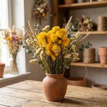 Artikel Getrocknete Strohblume Gelb 100g Helichrysum Trockenblumen-Bund 50cm