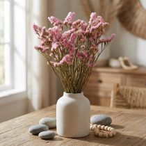 Artikel Strandflieder Rosa Limonium Trockenblumen 60-65cm 50g für Dekoration
