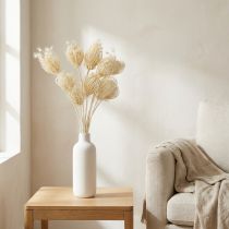 Artikel Trockenblumen Creme Fenchel Gebleicht 45cm Bund 10 St