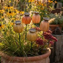 Artikel Gartenstecker Keramik Mohnkapsel Braun 41cm 4er Set