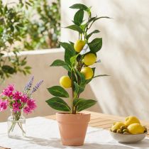 Artikel Zitronenbaum im Terrakotta-Topf Künstliche Pflanze 42cm für Innenbereich