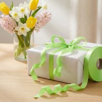 Artikel Kräuselband Polypropylen Hellgrün 19mm x 100m - Dekoration & Geschenkverpackung