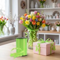 Artikel Kräuselband Polypropylen Apfelgrün 10mm x 250m – Geschenk- und Blumendekoration