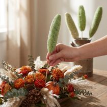 Artikel Luffa natur Grün am Stiel, 46–56 cm, 25 Stück