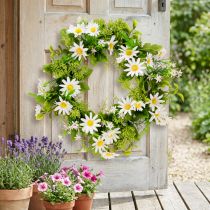 Artikel Gänseblümchen-Kranz künstlich Ø28cm Weiss Grün mit Gräsern