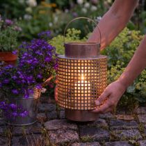 Artikel Deko Laterne Windlicht Metall mit Glaszylinder Rosé Ø18cm H29cm