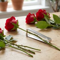 Artikel Rosenentdorner aus Metall Silber 13 cm für Rosenstiele