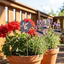 Artikel Gartenstecker aus Holz Flip-Flops und Boot Blau Weiss 8 cm 12 Stück