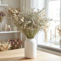 Artikel Trockenblumen Strandflieder 2kg weiss Naturfarben für Gestecke und Dekoration