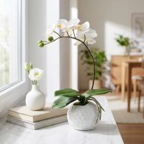 Artikel Phalaenopsis künstlich Creme mit Keramiktopf 33 cm
