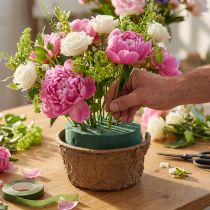 Artikel Nass-Steckschaum mit Schale für Blumen H10cm Ø16cm Braun Grün 2 Stück