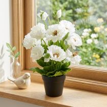 Artikel Künstlicher Mohn im Topf Weiss aus Seidenblumen, 48 cm